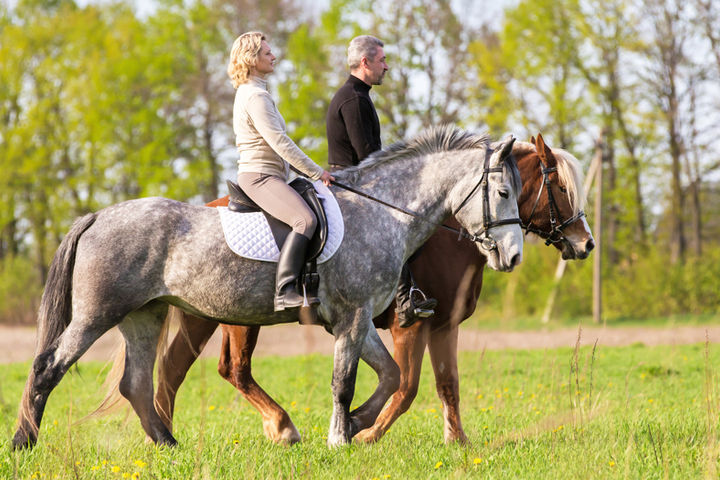 Equestrian Center