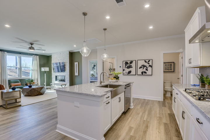 The Norwood at Abney Hills Estates
