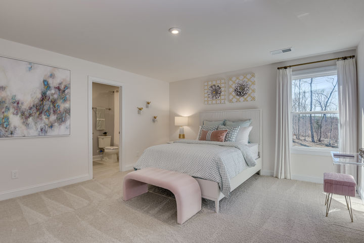 The Norwood at Abney Hills Estates