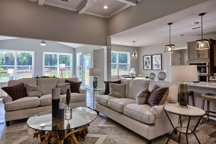 Family Room and Kitchen