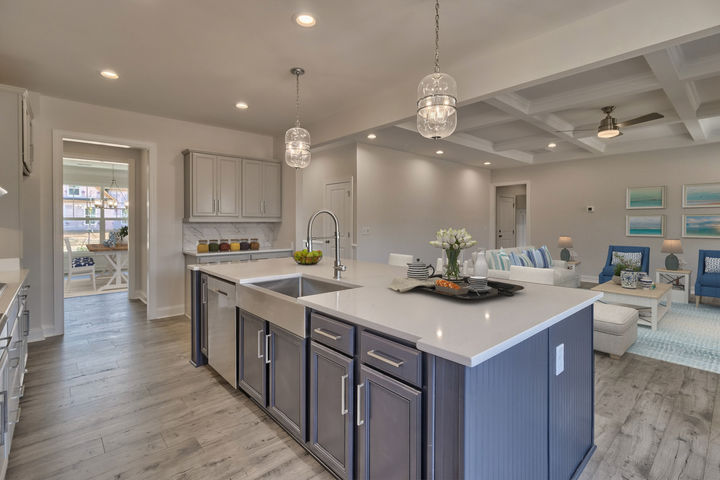 Kitchen and Family Room