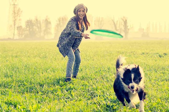 Space for your furry friends to play at the neighborhood dog park