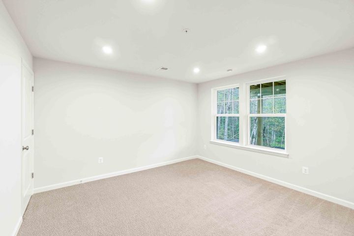Lower Level Bedroom