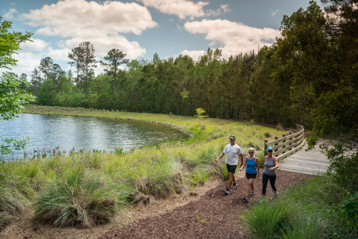 nature trail