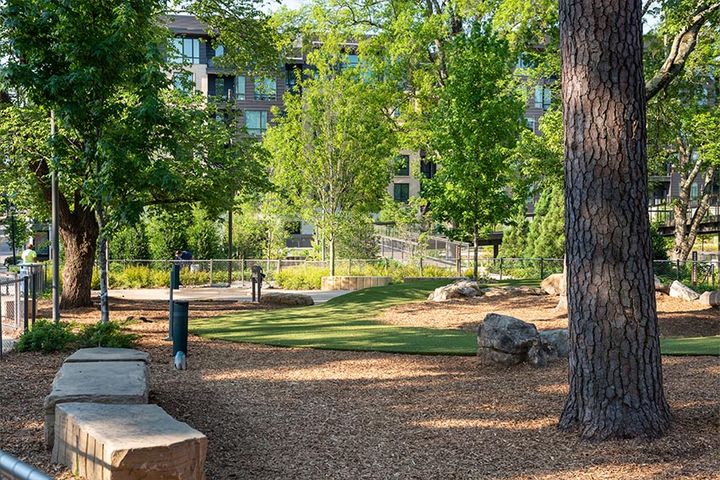 dog park at downtown cary park