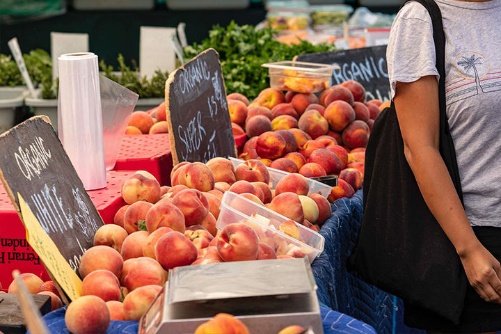 farmers market