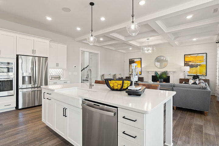 Kitchen and Family Room