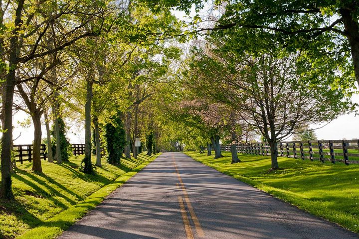 Bensville Crossing in Waldorf, MD Enjoy a neighborhood surrounded by forest conservation and mature landscape
