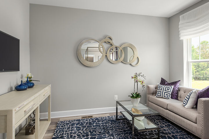 Flex Room