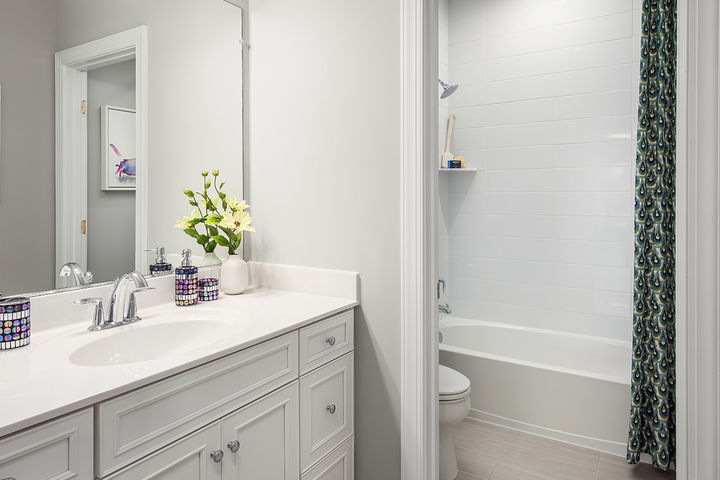 Hall Bathroom