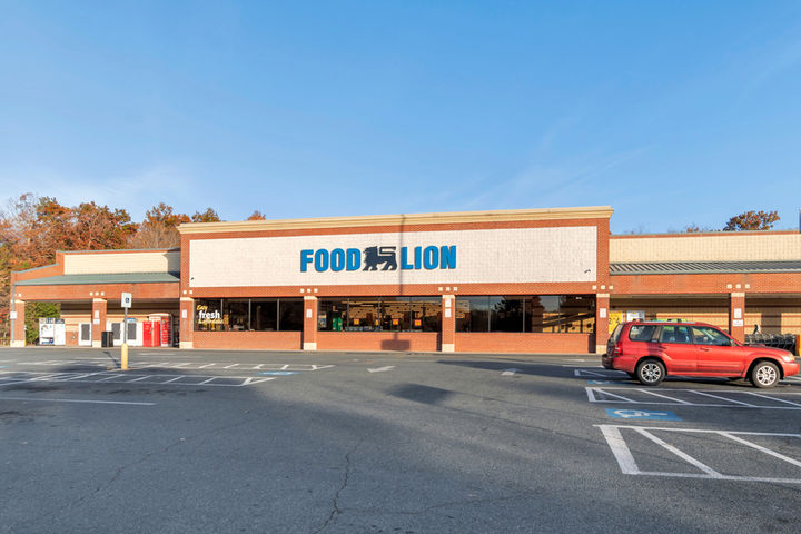 food lion grocery store in palmyra