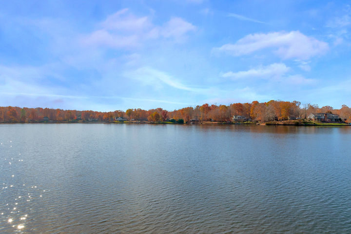 Lake Monticello water and trees