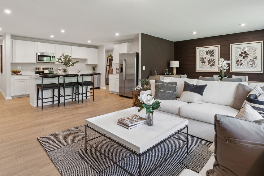 The Irving Family Room and Kitchen