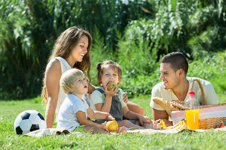 Family Picnic at Nearby Park