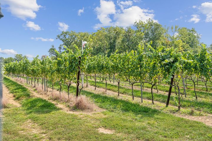Close to Loudoun County Wineries