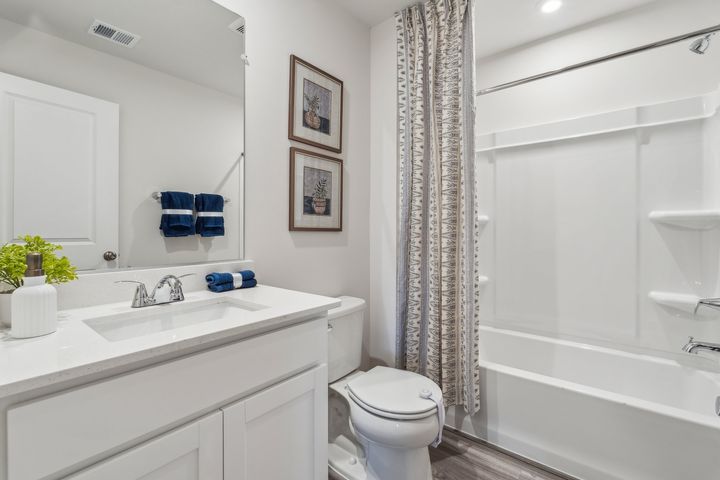 Upper Level Hall Bathroom