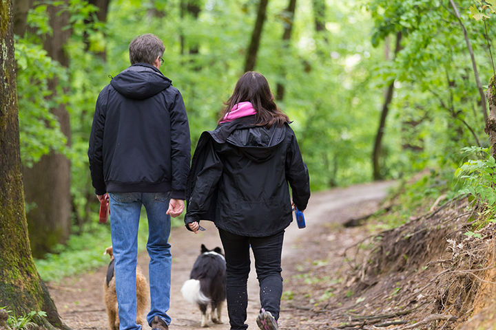 Many Nature Trails Near By