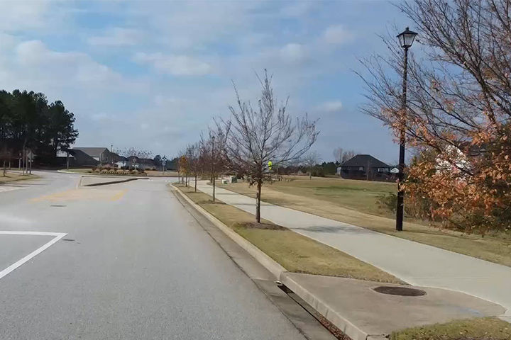 Tree Lined Streets in an Established Community