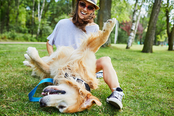 Open Green Space for your Furry Friend