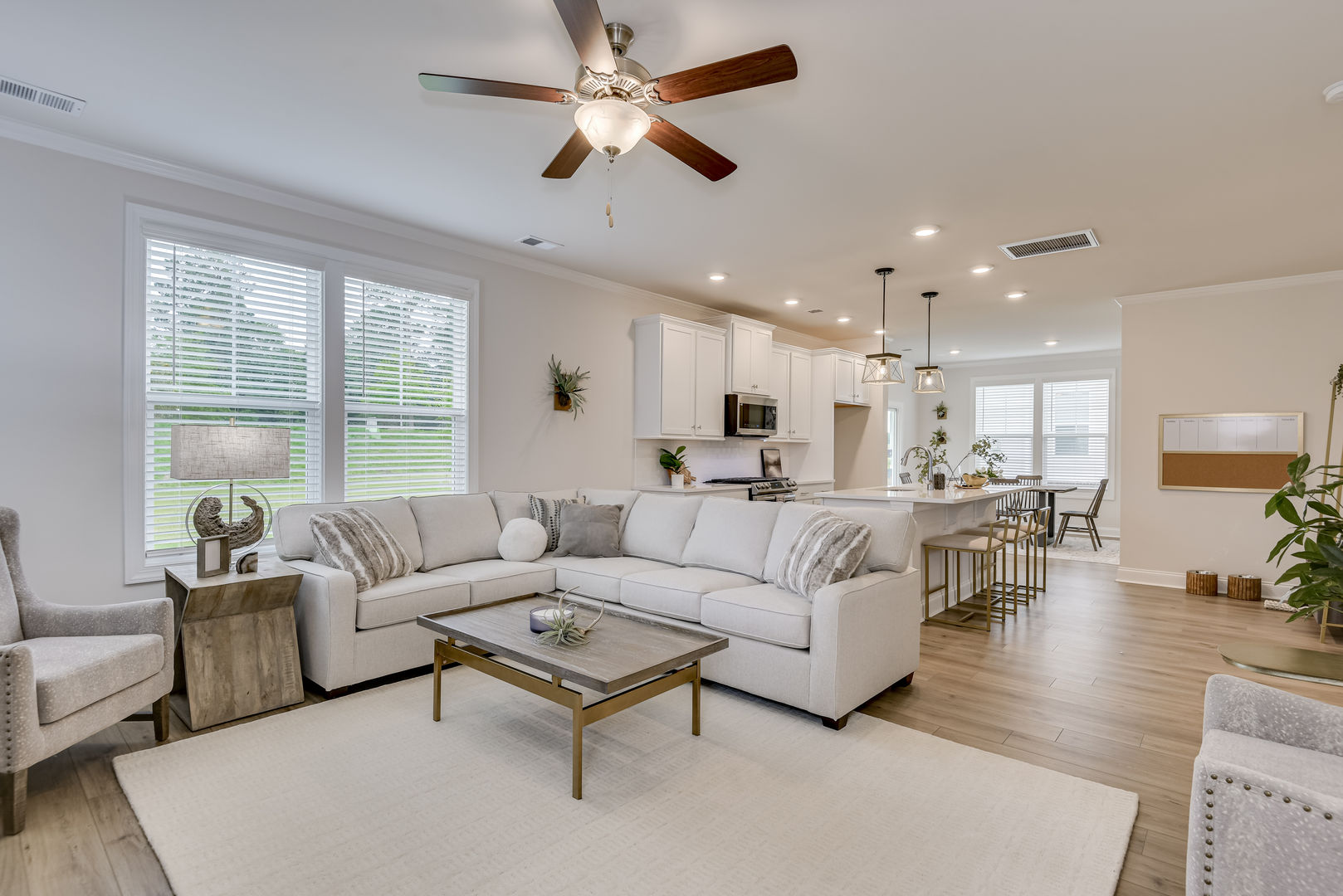 Family Room and Kitchen