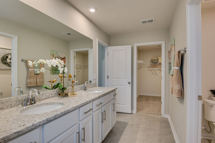 The Hollins at Harvest Ridge