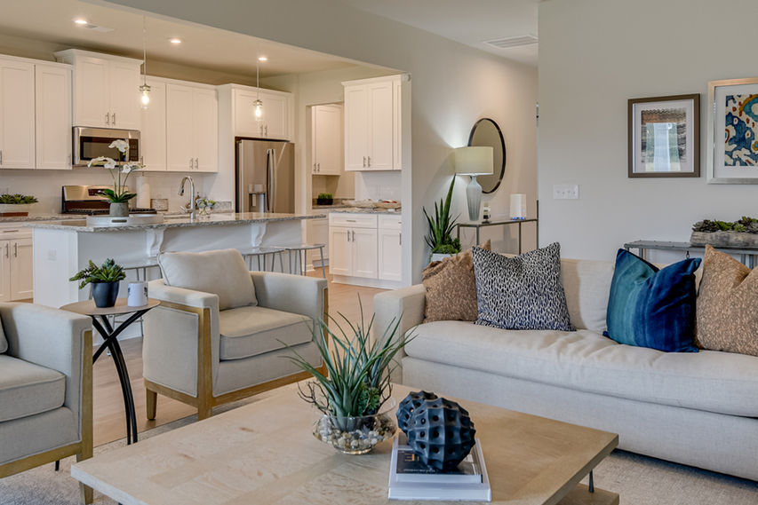 Family room and kitchen