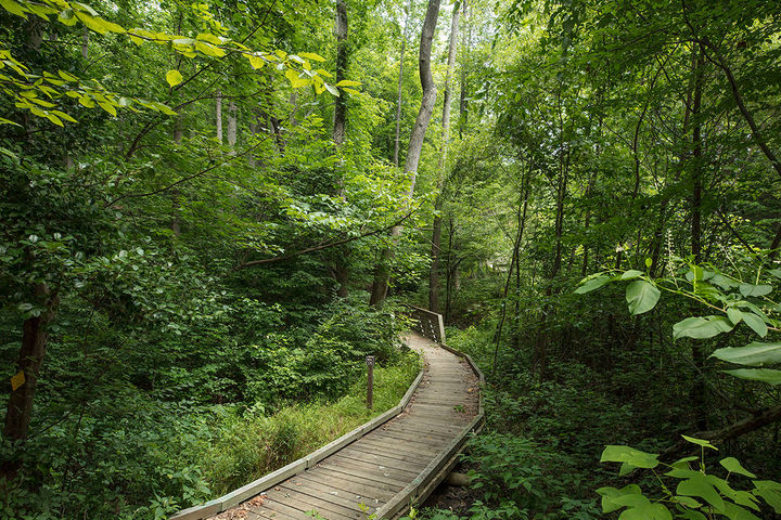Walking trails that connect you to the surrounding community