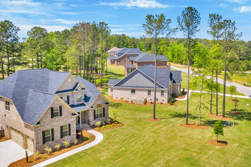 Aerial view of new homes in Mount Vintage
