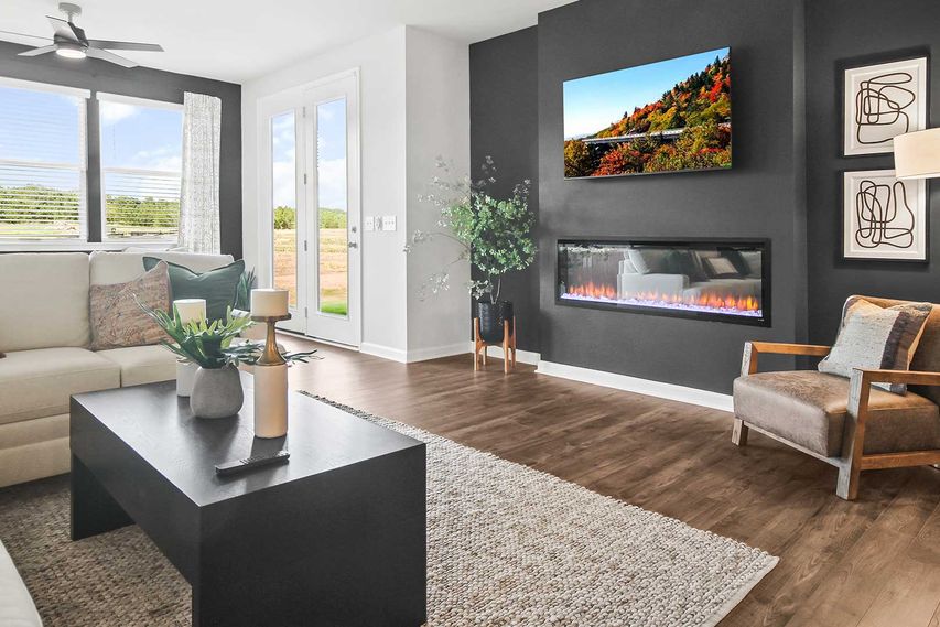 Electric Fireplace & Atrium Door