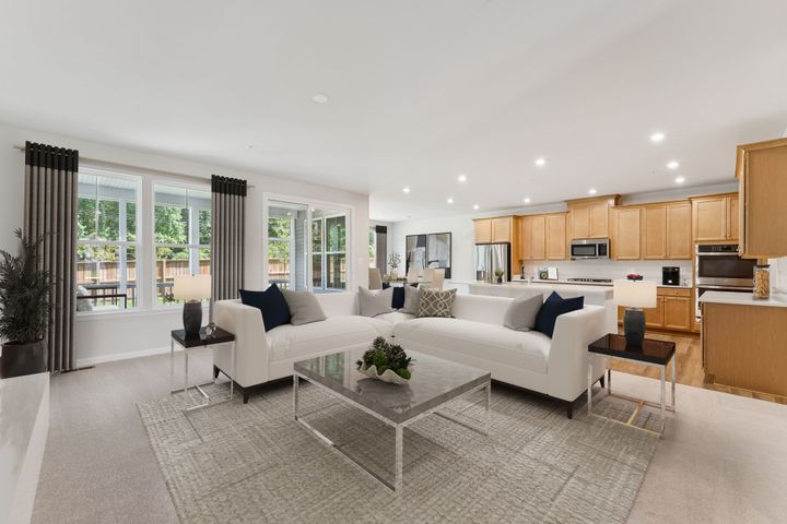 Family Room, Kitchen, Optional Morning Room and Dining Area