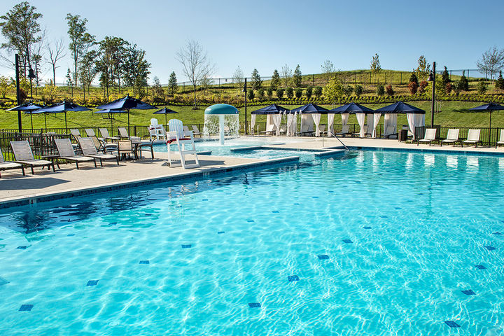 The Shores Club family pool with sundeck and cabanas