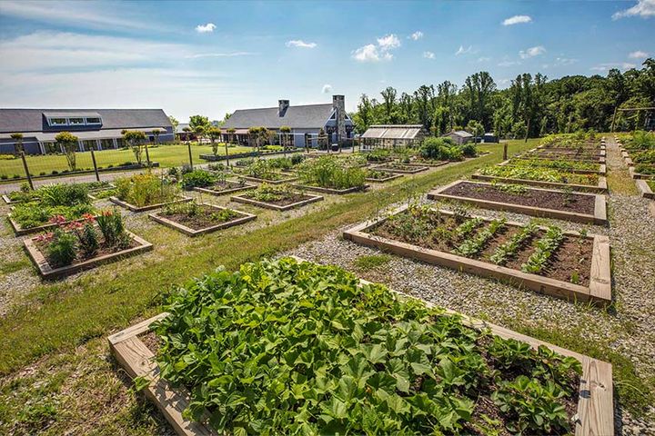 community garden at potomac shores social barn