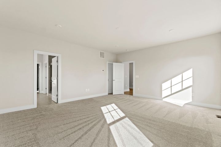 primary bedroom with walk in closet