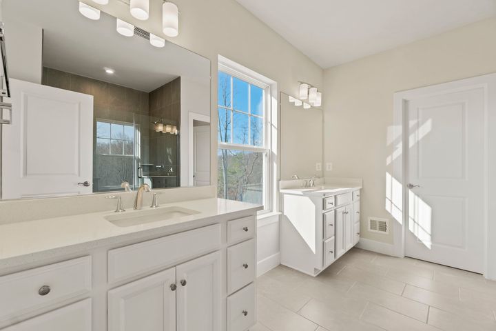 primary bath with separate cabinet sink