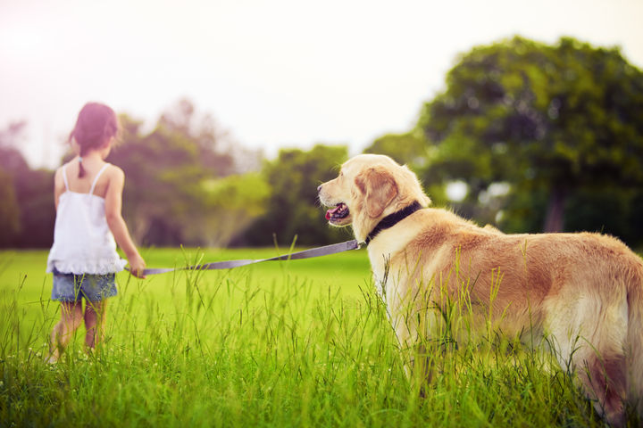 Providence at Trolley Run Station in Aiken, SC Enjoy open green space with your furry loved ones