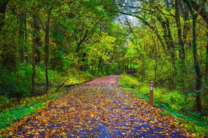 Swamp Rabbit Trail