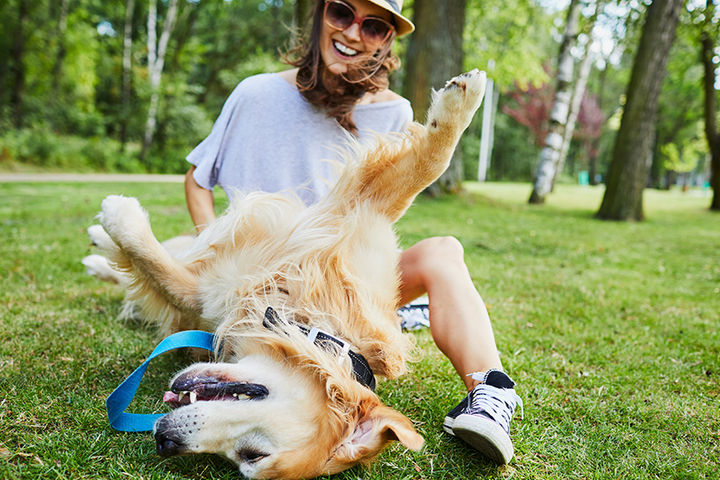 Neighborhood dog park