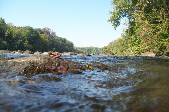 A Neighborhood on the Broad River