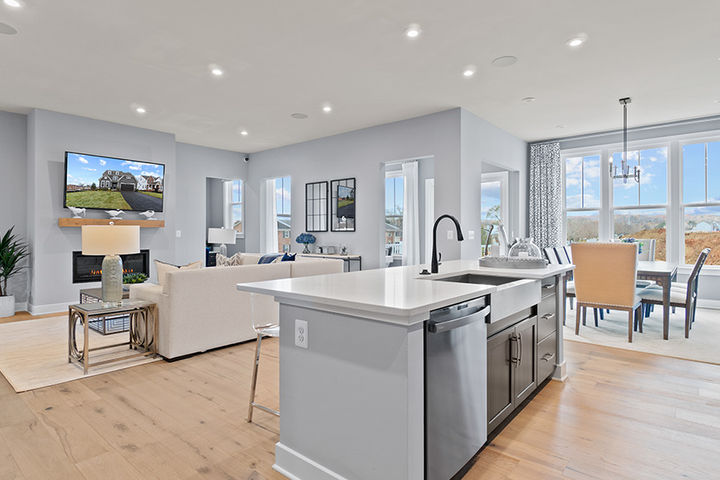 kitchen open to family room