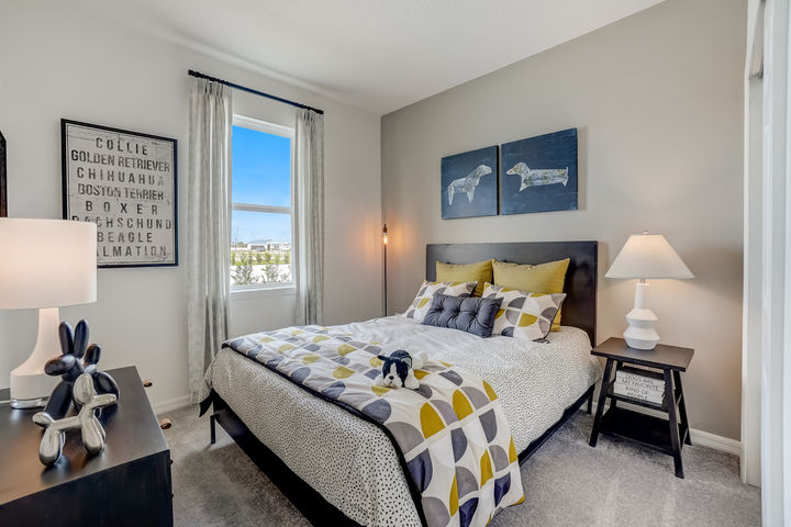 bedroom with bright window