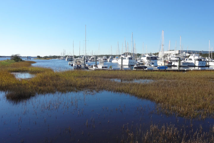 marina