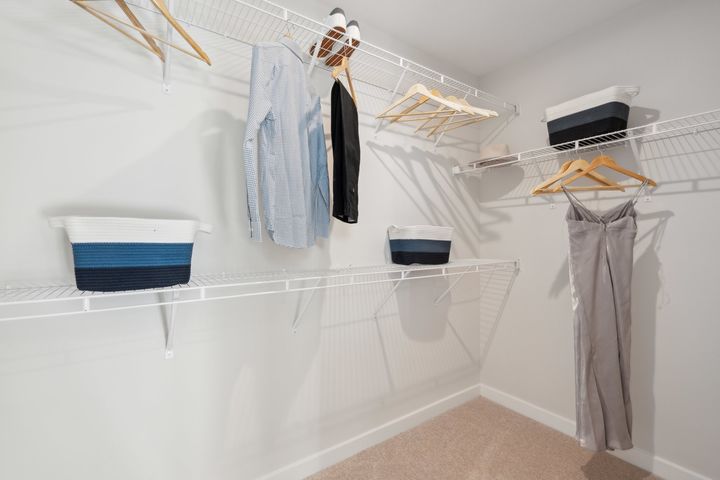 Primary Walk in Closet