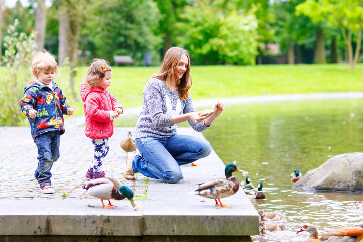 Mom and kids feeding ducks