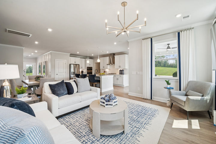 Living Room and Gourmet Kitchen