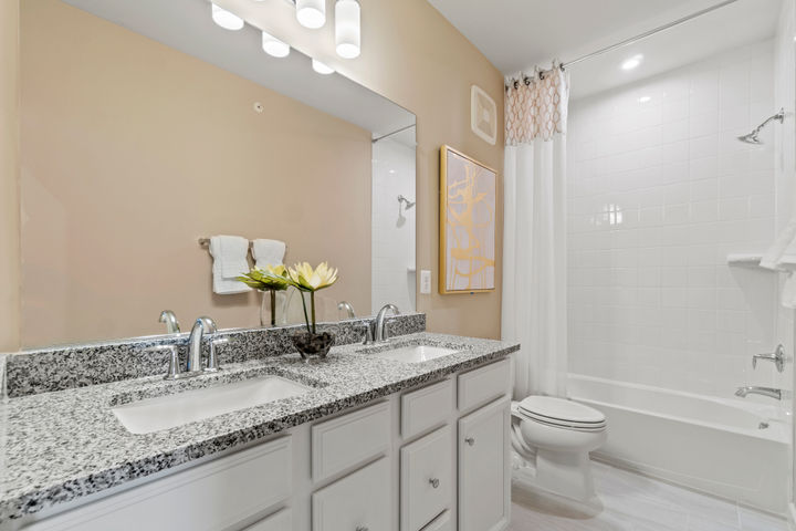 Hall Bathroom