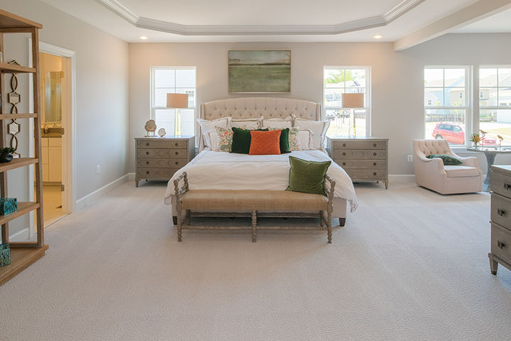 primary bedroom with tray ceiling