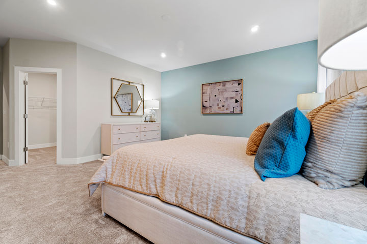 primary bedroom with spacious closet