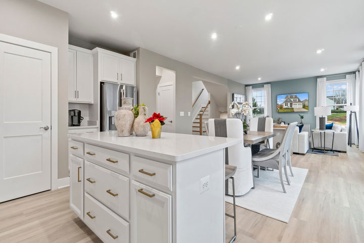 open kitchen with flow to dining and family room