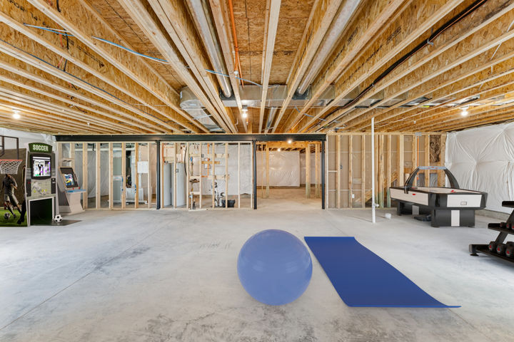 Unfinished Basement