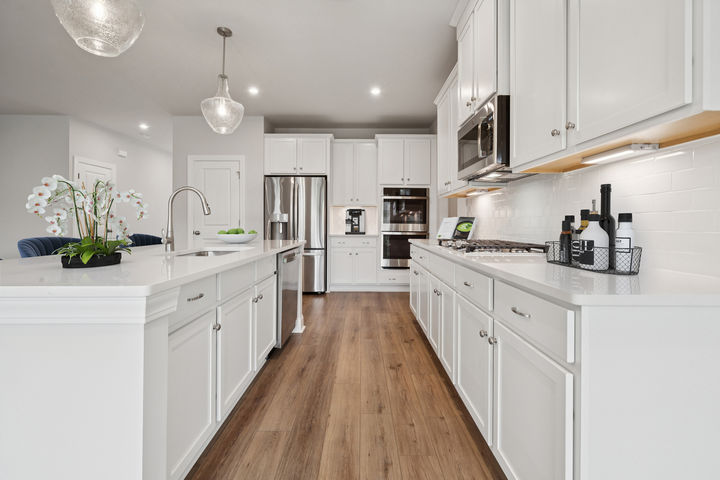 Gourmet Kitchen with Island